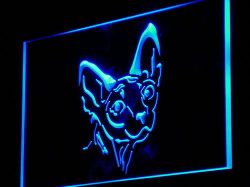 Sphynx Canadian Hairless Cat Shop Light Sign